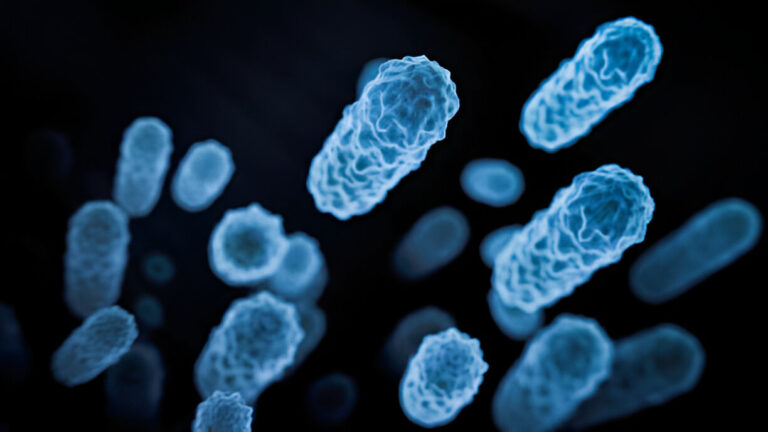 What Are The Signs That Probiotics Are Working?