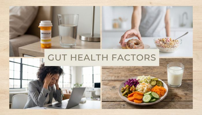 Factors that may contribute to gut imbalance including stress and diet